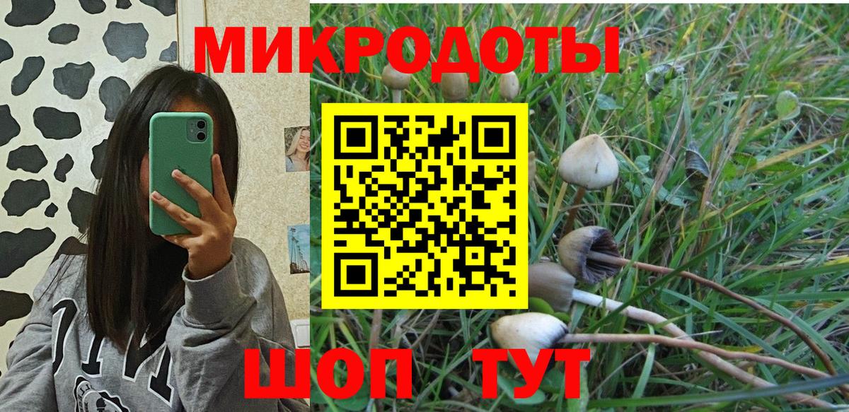 Псилоцибиновые грибы прущие грибы Рассказово