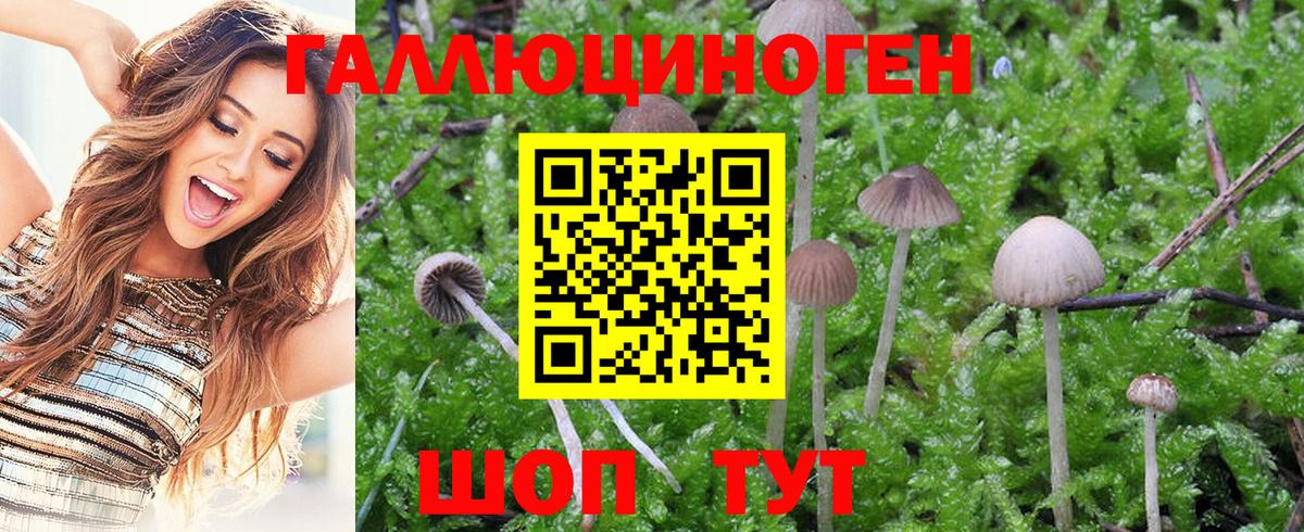 Псилоцибиновые грибы Magic Shrooms  Вход с VPN  цены   Рассказово 